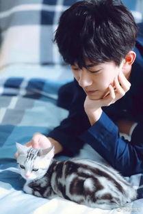 娱乐吃瓜猫吴磊,娱乐吃瓜界的“猫王”